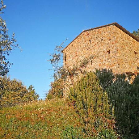 Cottage La Torre Del Pittore Bonassola Eksteriør billede