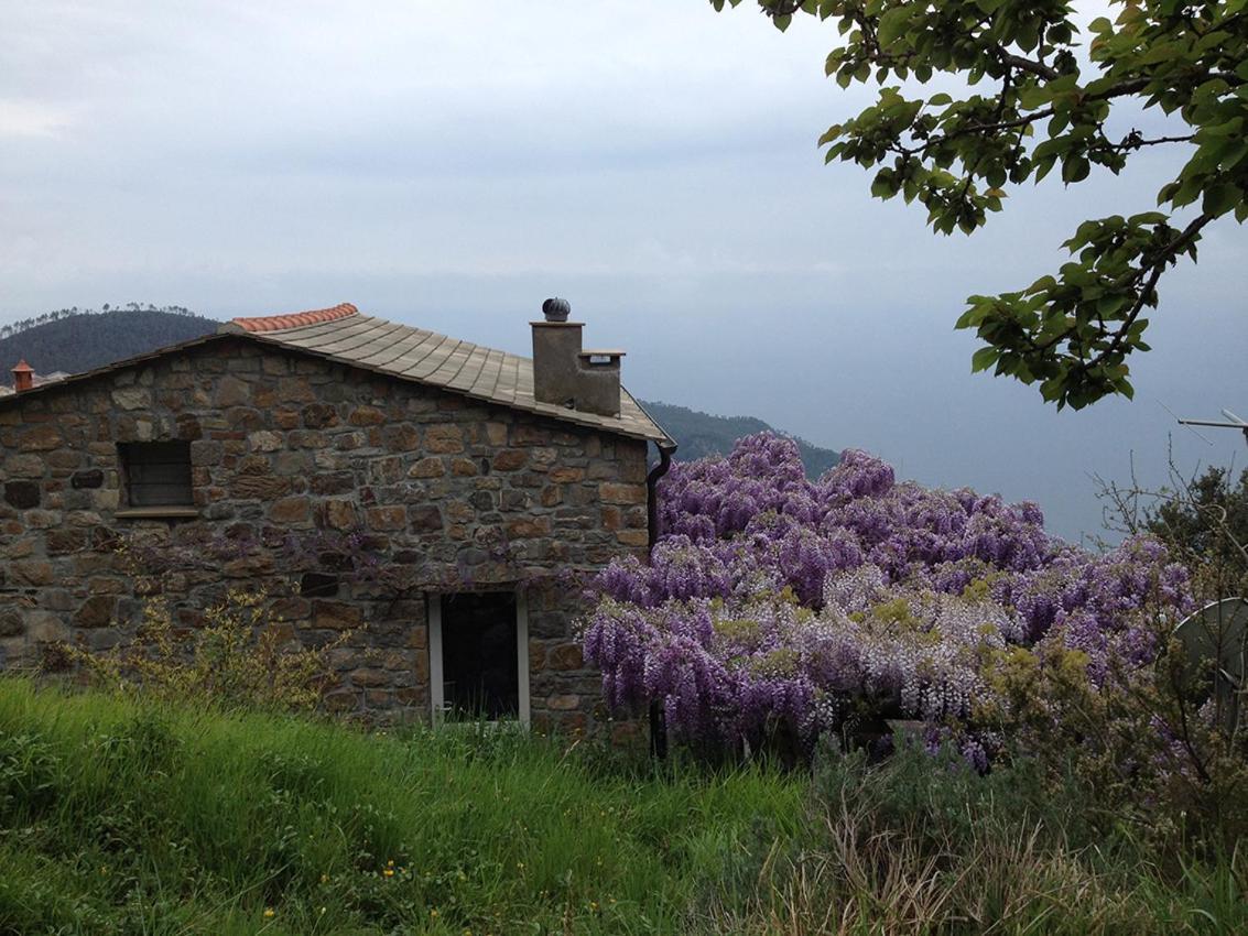 Cottage La Torre Del Pittore Bonassola Eksteriør billede