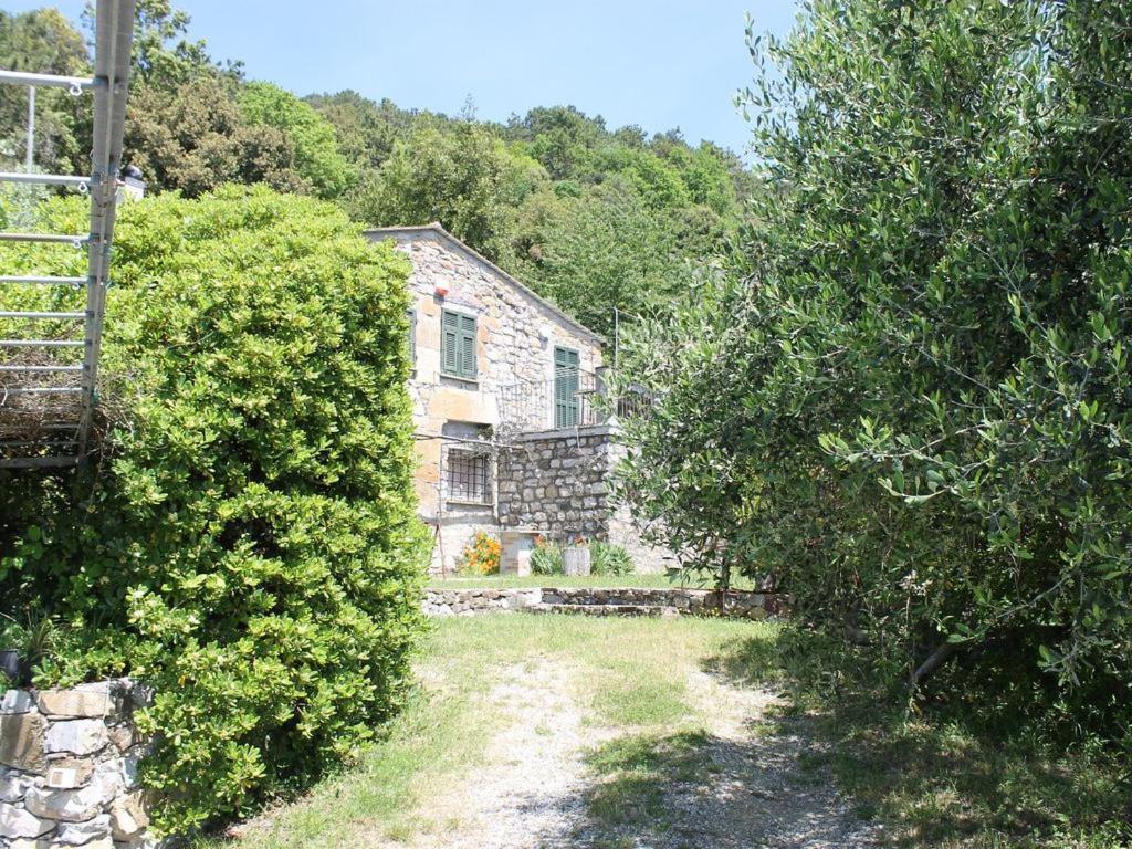 Cottage La Torre Del Pittore Bonassola Eksteriør billede