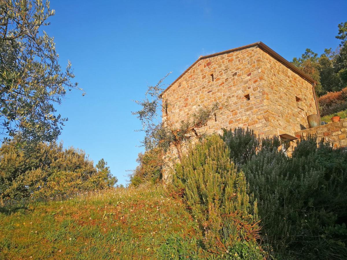 Cottage La Torre Del Pittore Bonassola Eksteriør billede
